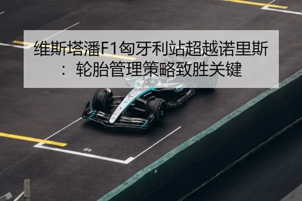 wei-si-ta-pan-xiong-ya-li-zhan-chao-yue-nuo-li-si-lun-tai-guan-li-ce-lve-zhi-sheng-guan-jian-3-948.jpg