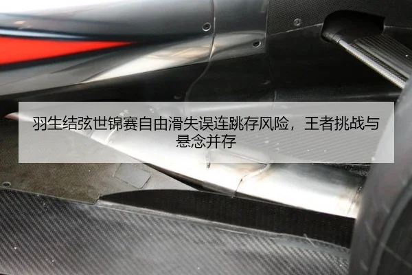 yu-sheng-jie-xian-shi-jin-sai-zi-you-hua-shi-wu-lian-tiao-cun-feng-xian-wang-zhe-tiao-zhan-yu-xuan-nian-bing-cun-2-531.jpg