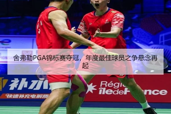 she-fu-lei-jin-biao-sai-duo-guan-nian-du-zui-jia-qiu-yuan-zhi-zheng-xuan-nian-zai-qi-3-137.jpg
